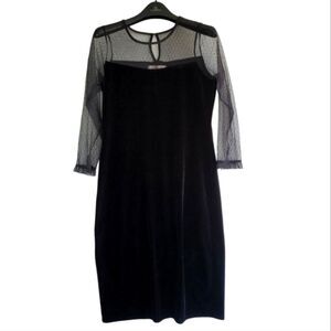 Magnolia Skye Velvet and Sheer Stretch Bodycon Dress